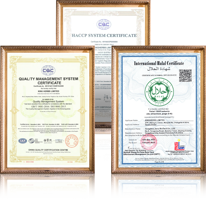 Certifications internationales de Kingherbs Limited démontrant l\'engagement envers la qualité des extraits botaniques et végétaux.