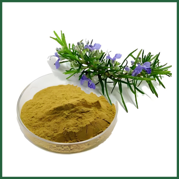 Acide ursolique