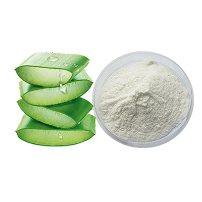 Aloe Vera Gel Freeze-séché Powder: La fusion parfaite de la technologie et de la nature!
