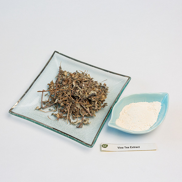 Extrait de thé de vigne