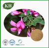 Extrait naturel de Lespedeza Capitata avec 0,2 % 0,4 % de kaempféritrine