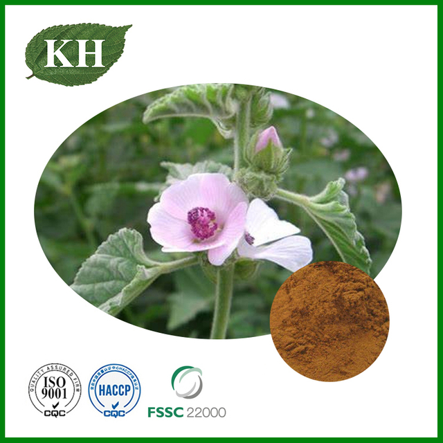 Extrait d'Althaea Officinalis