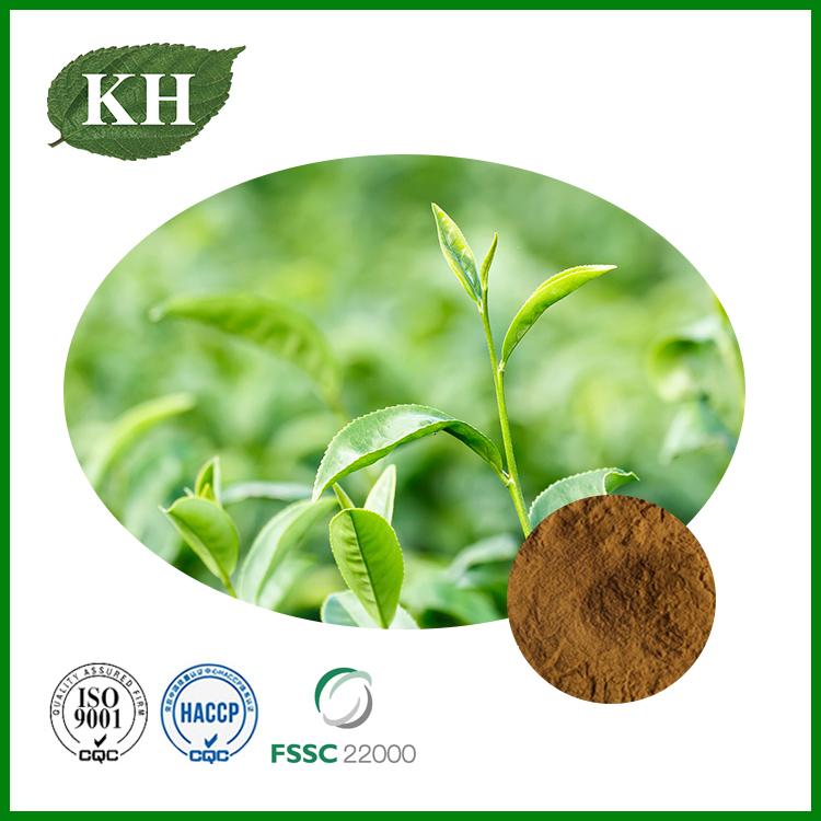 Green Tea Extract.jpg