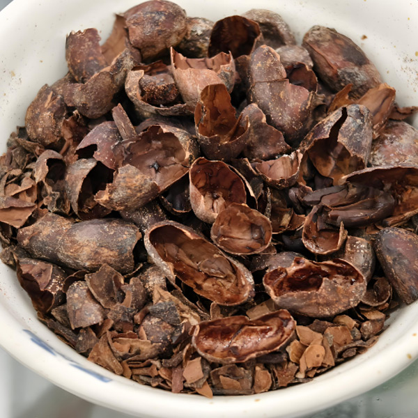 Couleur de coque de cacao
