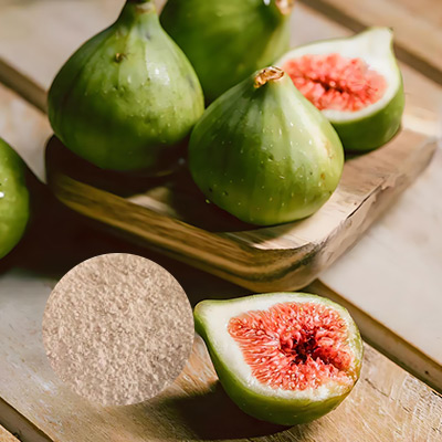 Principaux zones d'application de la poudre lyophilisée par les figues