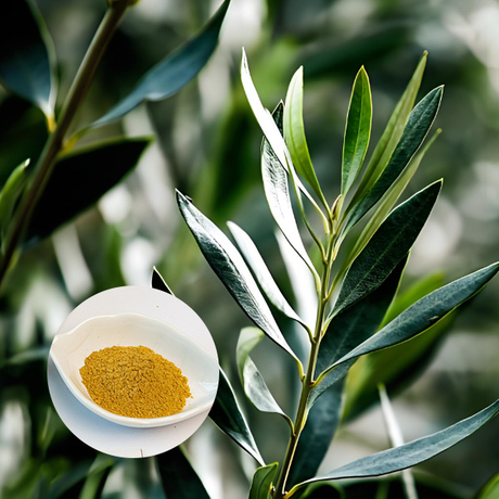Olive-Leaf-Extract2.jpg