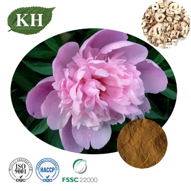 Comment planter et prendre soin des plantes à pivoine à fleurs