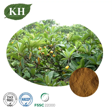 À quoi ressemble un loquat?