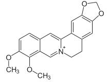 Berbérine