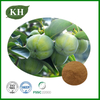 Extrait de fruit de kaki vert