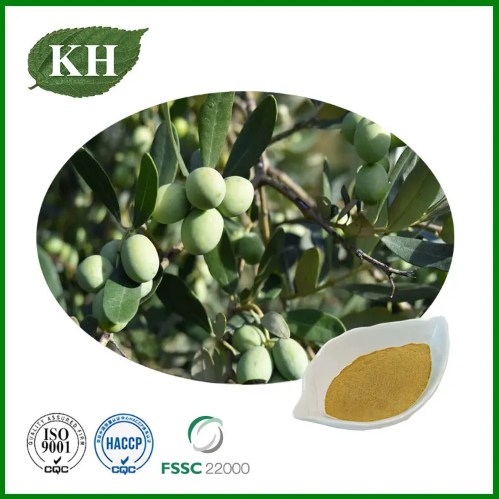 Extrait de feuilles d'olive avantages peau